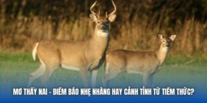 Mơ Thấy Nai - Điềm Báo Nhẹ Nhàng Hay Cảnh Tỉnh Từ Tiềm Thức?